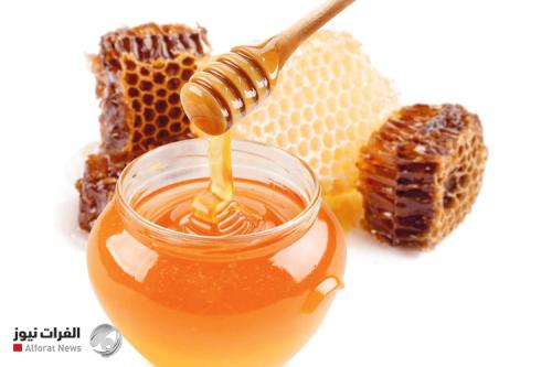 "فيه شفاء للناس".. علماء: العسل وصفة طبية وأفضل من هذه المضادات