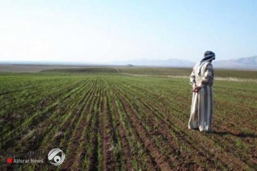 الزارعة النيابية تطالب بدفع مستحقات الفلاحين وتقديم الدعم لهم لإنهاء الاستيراد