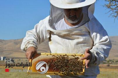 صادرات العسل التركي تصل 16.6 مليون دولار في 8 شهور