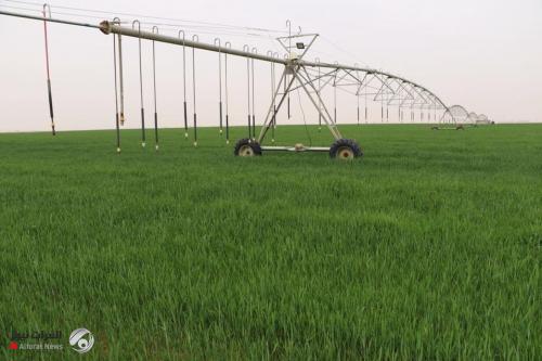 الزراعة النيابية تطالب بإلزام أي دولة او شركة تستثمر بالمجال الزراعي تشغيل العراقيين حصراً