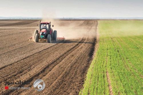 الزراعة النيابية تطالب بتنفيذ الاتفاقيات الخاصة بتطوير القطاع الزراعي