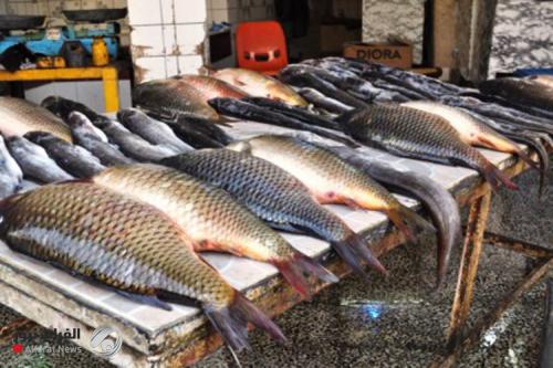 العراق يتصدر الدول المستوردة للأسماك الإيرانية