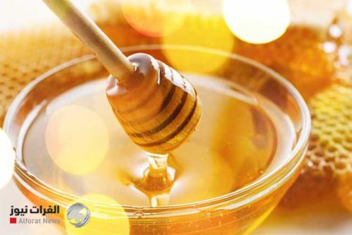 "فيه شفاء للناس".. اكتشاف علمي جديدة في العسل