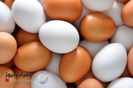 تسويق ٤٠ مليون بيضة ومئات أطنان اللحوم بجانب الرصافة في بغداد
