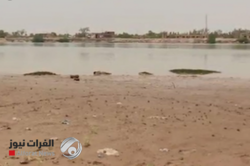 النقل تناقش ملف المياه في محافظة البصرة