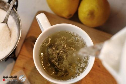 الشاي الأخضر أم الأسود؟.. دراسة تكشف "الأكثر فائدة"