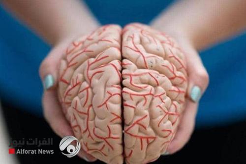 اختراق مذهل.. إكتشاف علمي جديد في مخ الإنسان