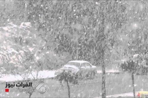 شاهد.. هطول الثلوج في العاصمة الاردنية عمان اليوم