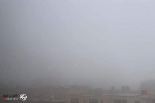 بالصور.. ضباب كثيف يغطي مناطق في محافظة جنوبية
