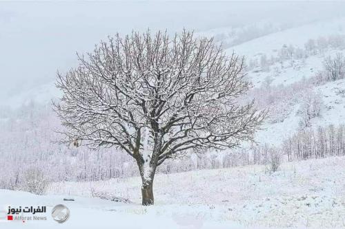 موجة جديدة من الثلوج تجتاح جبال كردستان