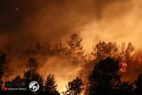 حرائق غابات تركيا تلتهم اربعة اشخاص