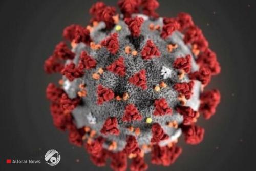 الجهاز المناعي يستجيب بشكل "قوي" لفيروس كورونا