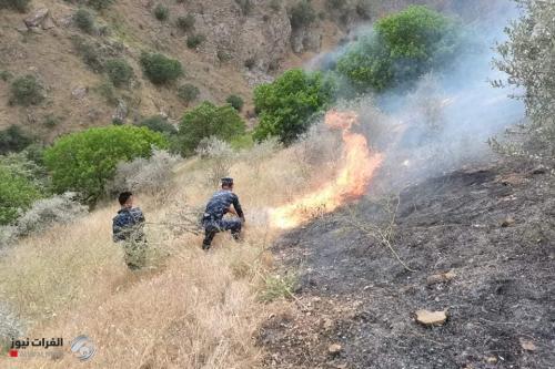 بالصور.. حريق هائل يلتهم 2000 دونم من الأراضي في السليمانية