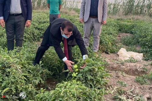 وزير الزراعة يكشف عن أكبر معمل لانتاج معجون الطماطم في الشرق الاوسط