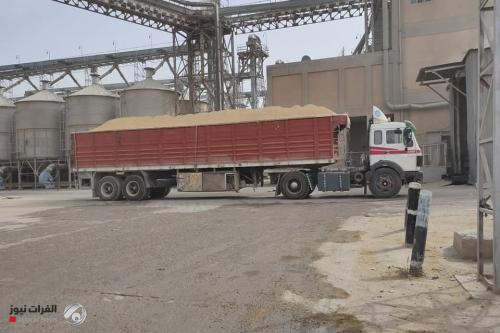 الزراعة تصدر عدة قرارات حول منع حركة نقل الحنطة والشعير داخل العراق