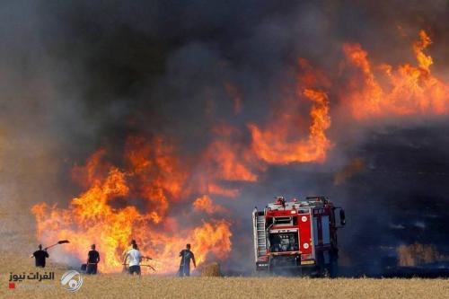 الدفاع المدني يعلن الموقف الرسمي لحوادث الحرائق الزراعية في بغداد والمحافظات