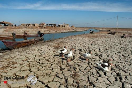 الزراعة النيابية: تركيا وايران ماضيتان بانشاء خزانات وسدود والأهوار في طريقها للجفاف
