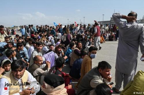 "العراق يعمل على توطين لاجئين أفغان".. الهجرة تكشف حقيقة الانباء