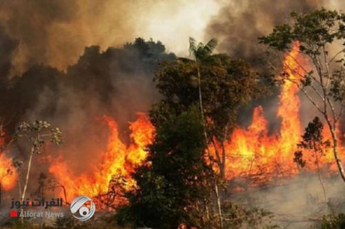 حرائق غابات الأمازون تصل لأعلى مستوياتها خلال يونيو على مدار 13 عاما