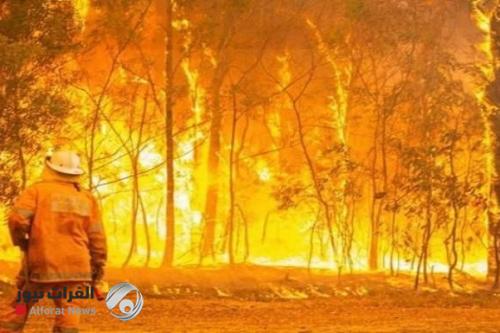 سهام كورونا لا تكفي...نيران حرائق الغابات في الصين تقتل 19شخصاً