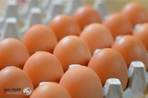 حظر بيع الدجاج والبيض في أسواق البصرة