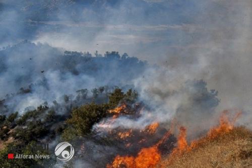 لجنة كردية: عصابات تنقل أشجار الإقليم المحترقة الى تركيا