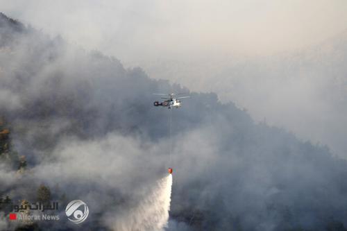 مصرع شخص خلال عمليات إخماد حريق غابات كبير في تركيا