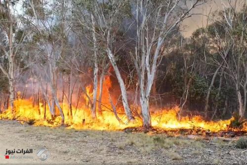 عواصف وأمطار تخمد الحرائق في شرق أستراليا