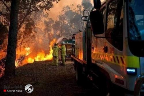 بالصور.. حرائق غابات أستراليا تهدد ملايين الحيوانات