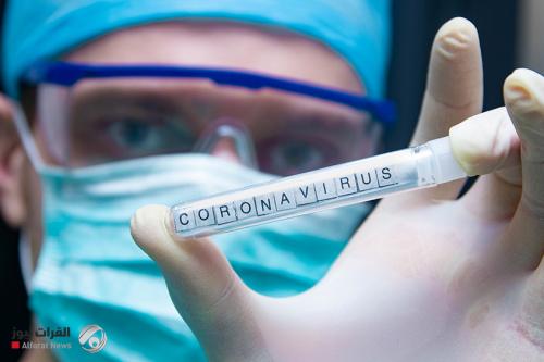 دراسة تكشف سبب فقدان حاسة الشم عند الإصابة بفيروس كورونا