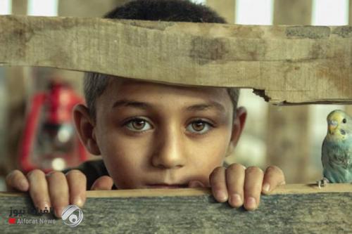 مصوران عراقيان يحصدان جائزة عالمية