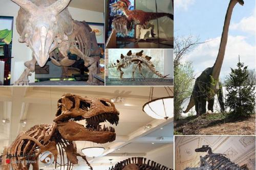 دراسة جديدة تحسم الجدل حول سبب انقراض الديناصورات