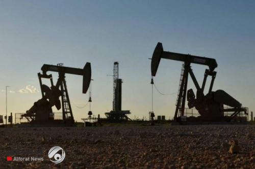 النفط ينخفض بعد تقرير أوبك والمخزونات الأمريكية تقدم الدعم