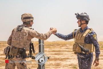 بالصور.. قط في معسكر عراقي يلفت انتباه الجيش الامريكي