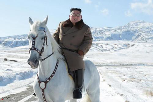 زعيم كوريا الشمالية يشتري أحصنة روسية بمبلغ خيالي