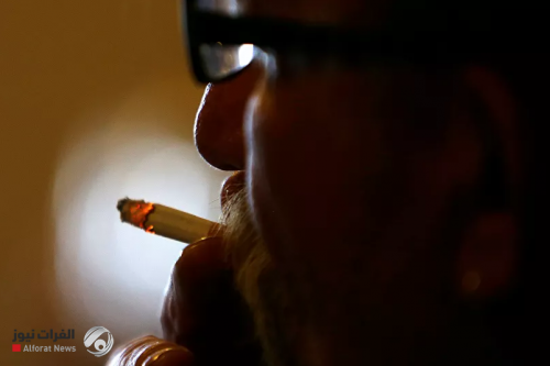 نيوزيلندا تقرر التخلص من التبغ بحلول عام 2025