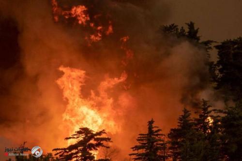 الاقوى هذا العام... ضحايا جديدة بحرائق كاليفونيا