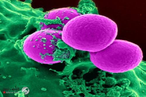 البكتيريا القاتلة قد تشارك مقاومة المضادات الحيوية بشكل أسرع مما نظن