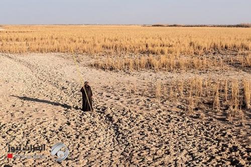 صالح يحذر: سكان العراق سيصبح 80 مليون ونصف الاراضي الزراعية مهددة بالفقدان بسبب التملح