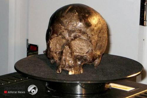 بالصور.. أقدم مخ محفوظ في العالم مفتاح لمكافحة الخرف