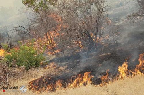 بالصور.. الحرائق تلتهم غابات سياحية في دهوك والخسائر باهضة