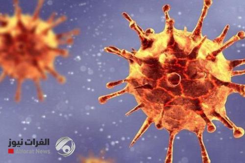 إكتشاف نوع جديد من فيروس كورونا