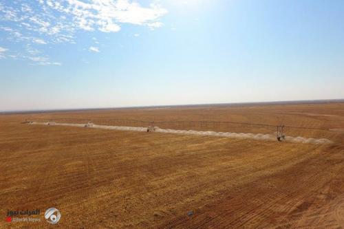 العتبة الحسينية تستملك مليون دونم في صحراء المثنى لانشاء مشروع زراعي متكامل