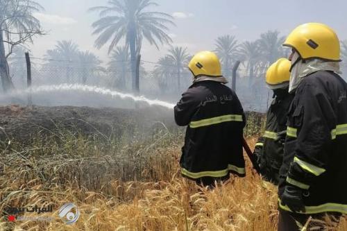 بالصور.. اخماد حريق ضخم في حقل للحنطة في صلاح الدين