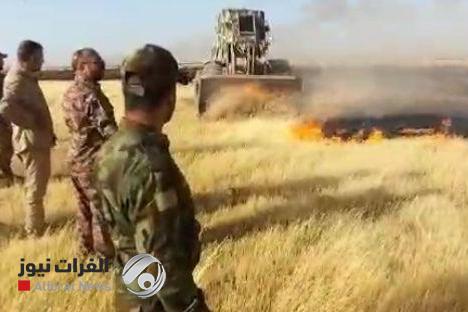 داعش يحرق حقول صلاح الدين والحشد يسهم بإطفائها