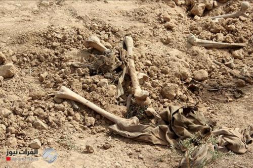 الشهداء النيابية: مقابر جماعية لداعش في نينوى والصحراء الغربية لم يتم الكشف عنها