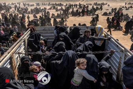 الهجرة تتريث بنقل عوائل داعش من سوريا لربيعة