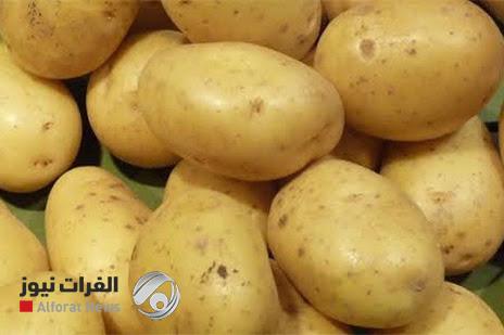 ايران تبدأ تصدير البطاطا الى العراق